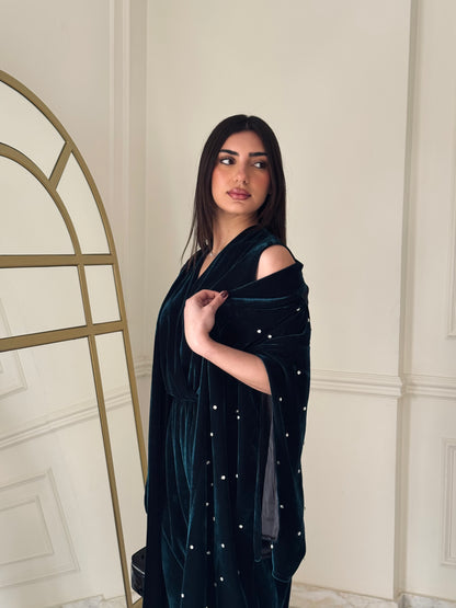 Velvet Queen Dress